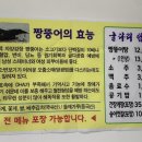 굴다리쉼터 시즌2 네이버블로그