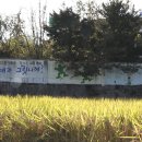 신풍리-3 이미지