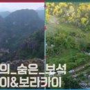 (주)보라투어 - 서구 | (주)보라투어