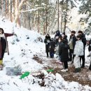 편백스테이 이미지