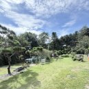 그늘막58 | 남양주 반려견 동반 대관/숙박 바베큐 희나리뜰 솔직후기