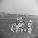 봉산면사무소 이미지