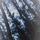 벡스코역 이미지