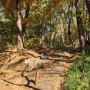 노원골유아숲 이미지