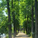 강촌 멀티존 이미지