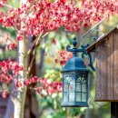 참좋은애견 이미지