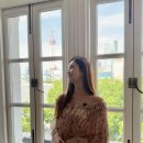 이다해 카카오 검색결과