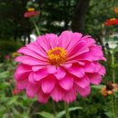 양주송천캠핑장 이미지