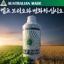 대동유통 이미지