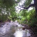 하늘계곡캠핑장 이미지