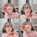 곤명생태학습체험장축구장 | 경남 사천 아이랑 가볼만한곳 , 축제 곤명 딸기 한마음 축제 정보