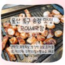 모이세 칼국수 | 울산 송정동 모이세막창｜생막창·벌집삼겹살 무한리필에 칼국수 서비스까지! 진짜 가성비 맛집