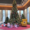 성주로 | 성주 브런치 맛집 카페 트리팔렛 방문후기