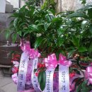 예천동부초등학교 이미지