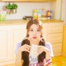 채원컴퍼니 스포츠경향