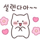 폼폼애견 이미지