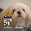 소로동물병원