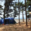 곰섬야영장 이미지