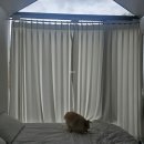 태신약국 | 제주도 애견동반 펜션 3곳 내돈내산 솔직후기 <놀당스테이 노란동 1번방+ 쉼멍스테이 203호 +스테이반...