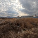 용성농협하나로마트 이미지