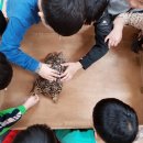 만정초교병설유치원 이미지