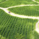 상림다볕당 이미지