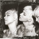태양 - 부안군 번영로 155 | 태양