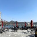 (주)마니커 예산지점 | 충남 예산 애견동반 가볼만한곳 예당호 출렁다리 카페, 산책길 코스