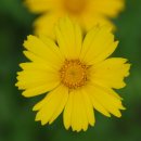 서북동마을 이미지