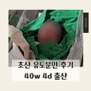 세종프라우메디산부인과의원 | 세종 프라우메디 산부인과 초산 유도분만 후기 | 자연분만 대실패 !! | 제왕절개 회복 꿀팁 | 40w 4d 출산