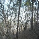 무선초등학교 이미지