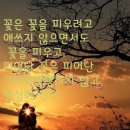 강동 경희대학교 한방내과 박성욱교수님 추천합니다 이미지