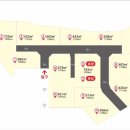 황금진족 이미지