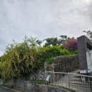 문화마당 공중화장실 이미지