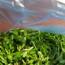 후크선장과 바다낚시 이미지