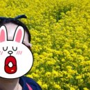 성한목장 이미지