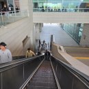 백제병원자판기 - 전주시 덕진구 | 📍 국립중앙박물관 데이트 후기｜대동여지도 직접 본 날 🗺️