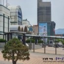 넝쿨쉼터