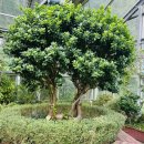 수원시농업기술센터 | 수원시농업기술센터