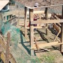 꼬꼬놀이터 이미지