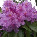 코바늘 소품 만들기 이미지