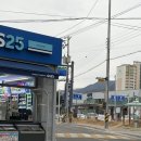 천지활아구전문 | [음식] 구미 사곡 아구수육 아귀수육 맛집 내돈내산 천지활아구