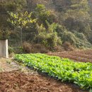 리치모텔 이미지