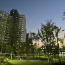 쿠키보리(COOKIE BORI) 이미지