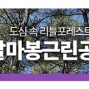 갈마봉공원 네이버블로그