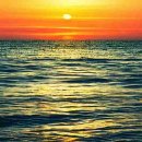 덴탈이유 이미지