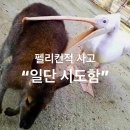 베리타스미디어주 | [취준생/대학생 장학금 추천] 롯데장학재단 취업준비생 장학생 6기 최종합격 + 직무 특강 후기 🙌🔥