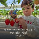 다은농장 이미지