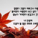 마라향기 이미지