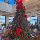 용암로 | 윤쉐프정직한제빵소｜뷰탁트임 뷰맛집, 빵까지 맛있다